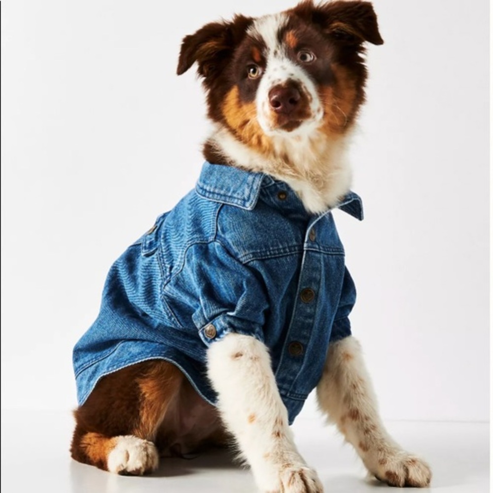 FOUND MY ANIMAL DENIM COAT